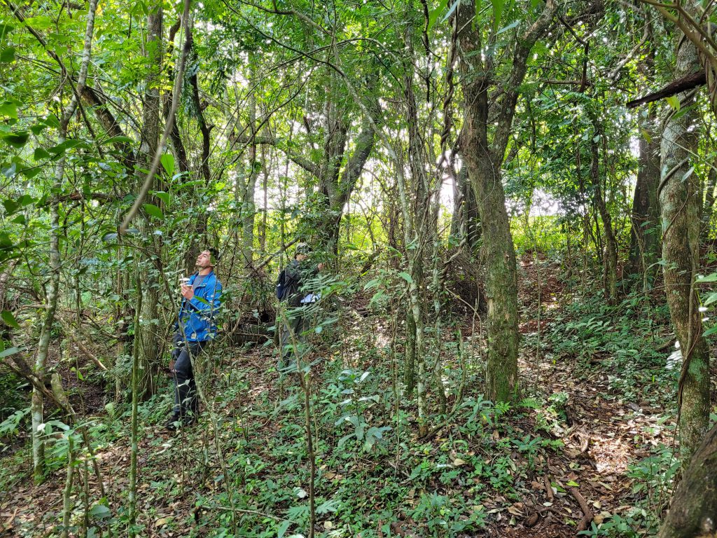 IV Seminario Latinoamericano de Ecología Humana